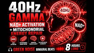 40Hz Gamma | NAD+ Activation + Mitochondrial Energy Repair | Green Noise Binaural Beats | 8 Hours