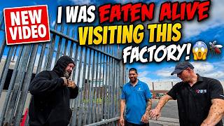 I WAS EATEN ALIVE VISITING THIS FACTORY! 😱🦟