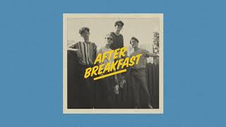 Video thumbnail of "The Polar Boys - After Breakfast (Audio)"