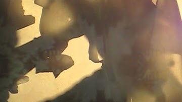 Visual Dialog by Lisa Feng