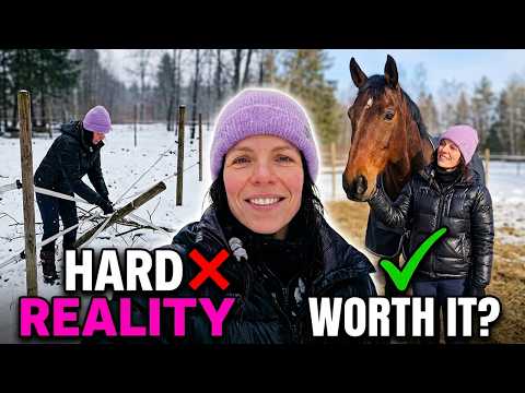 Stable Life Rant (Don't Get A Horse Unless You Really Mean It... 😅)