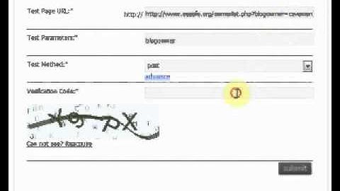 Free Online Cross Site Scripting XSS TEST (targeted at HTTP POST based parameters)_1