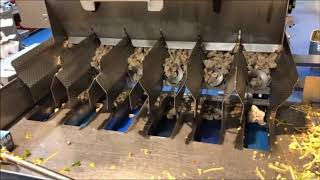 Ishida linear multihead weigher