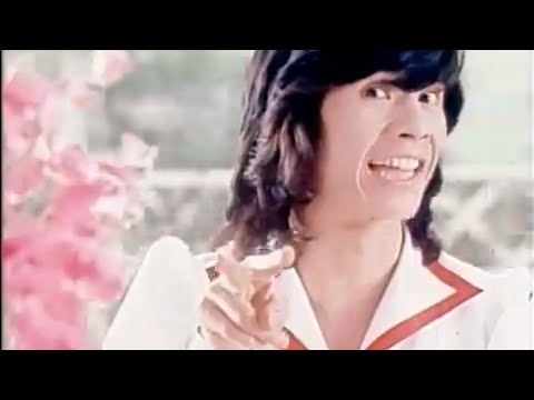 【CM】ハウス バーモントカレー🍛　 秀樹感激！　西城秀樹