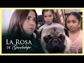 La Rosa de Guadalupe: Lilia cree que su perro puede contagiarla de coronavirus | Tiempo de ayudar
