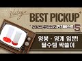 양봉부터 닭 키우기까지! 초보 양계인을 위한 필수템 리뷰