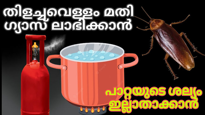 തിളച്ച വെള്ളം മതി ഗ്യാസ് ലാഭിക്കാനും പാറ്റയെ ഓടിക്കാനും തീർച്ചയായും എല്ലാവരും കാണേണ്ട വീഡിയോ