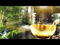 Tibetan singing bowls with water sounds and bird sounds