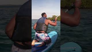 Phil Puts the Falling-In into Standing-Up | The Next Turn by Expedia