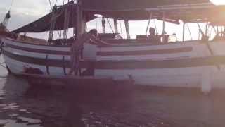 Trailer Pre Season – Accidental Sailor Girl