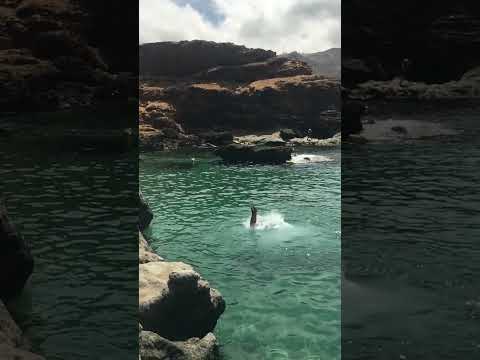 القفز من الصخري البحر   اكسبلور      البحر