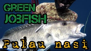 PULAU NASI Spearfishing Adventures