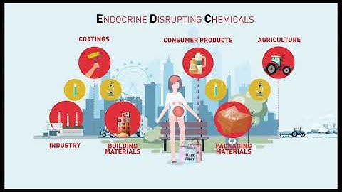 ENDPoiNTs project to identify endocrine disrupting chemicals inducing developmental neurotoxicity