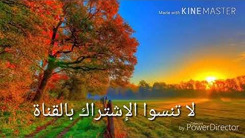 ايات من سورة الروم الشيخ عادل عبدالرحمن ( مسجد ساردية العتيق)