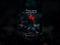 Sad Poetry Video Status | Heart Touching Lines#youtubeshorts #ytshorts #shorts #capcut #sad#trending
