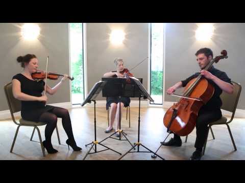 Rondino String Trio - Sweet Child O' Mine