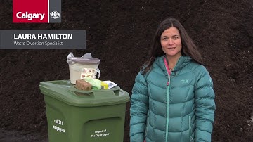 Green Cart: one year and counting