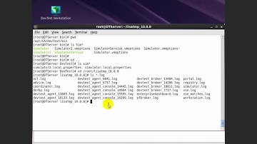 Configuring Multiple Simulators for DevTest Solutions 10.0