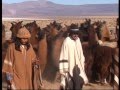 PRODERNOA - Hilos del Sol: La esquila de vicuñas en Laguna Blanca