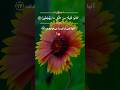 آیه ۱۷ تا ۱۹ سوره ذاریات قاری عبدالباسط عبدالصمد آیه ۱۷ تا ۱۹ سوره ذاریات قاری عبدالباسط عبدالصمد