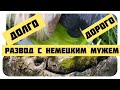 РАЗВОД В ГЕРМАНИИ//АДВОКАТЫ ИЛИ ПСИХОТЕРАПЕВТЫ//АЛИМЕНТЫ ЖЁНАМ И ДЕТЯМ