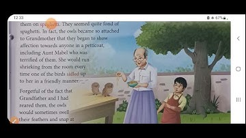 Owls in the family , chapter 1 , class 6 , English