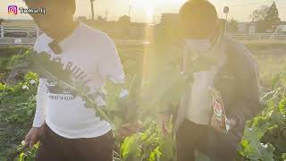 REAKSI MERTUA JEPANG LIHAT MANTU INDONESIA CABUT SINGKONG