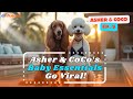 Asher & CoCo Are Having a Baby: Their Baby Essentials Get Viral with Ainfluencer!