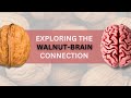 Astounding benefits of walnuts  get informed and start living a healthier lifestyle