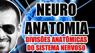 Quais são as divisões do sistema nervoso periférico?