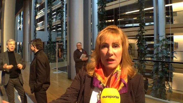 Janice Atkinson MEP: Violence against women