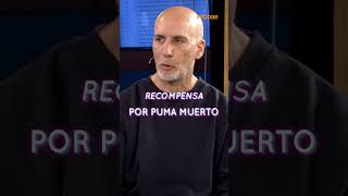 ¿QUÉ ESTÁ PASANDO CON LA CAZA INDISCRIMINADA DEL PUMA?