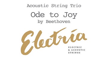 Ode to Joy - Acoustic String TRIO, Electria