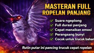 TRUCUKAN GACOR FULL ROPEL PANJANG || pancingan, masteran terbaik untuk trucuk dan burung lainya