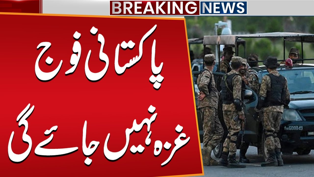 Pakistani Army Will Not Go to Gaza | Clarification on Military Stance | Public News