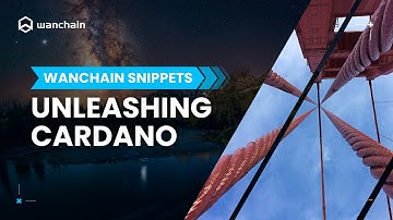 Unleashing Cardano