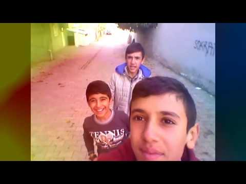 Adiyaman Vine  #1