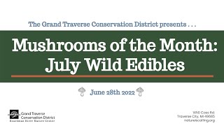 Mushrooms of the Month: July Wild Edibles
