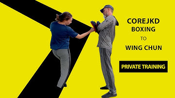 Boxing to Wing Chun | Core JKD Private Training Session