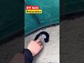 Horseshoe restoration#diyprojects #diy