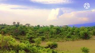 Punjabi ringtone//Love ringtone 2020// ringtone video#Mobile mp3 caller tone#Ncs free