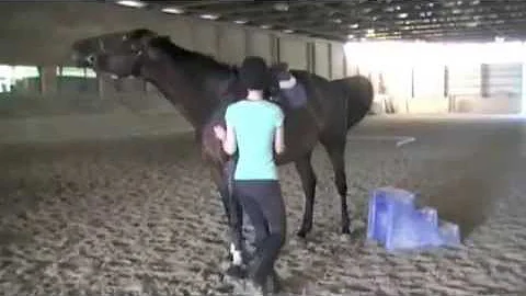 Suzanne Clark Welker Rides "Willow" on June 21, 2015