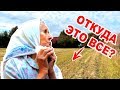 БАБУШКА НЕ ЗНАЛА😵, ЧТО ТАКОЕ МОЖНО НАЙТИ В ОГОРОДЕ!!!