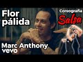 Flor pálida - Marc Anthony / Coreografía de salsa en pareja