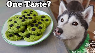 Mint Chocolate Chip Cookies For Dogs 🍀 St Patrick's Day DIY Dog Treats