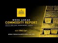 WEEK AHEAD COMMODITY REPORT: Silver & Gold Price Forecast: 8 - 12 February 2021