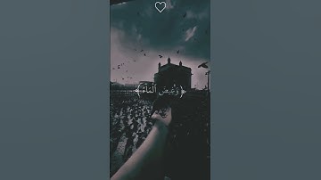 سورة هود الآية 44 قرآن كريم #قران_كريم #الفيديوهات_المقترحة