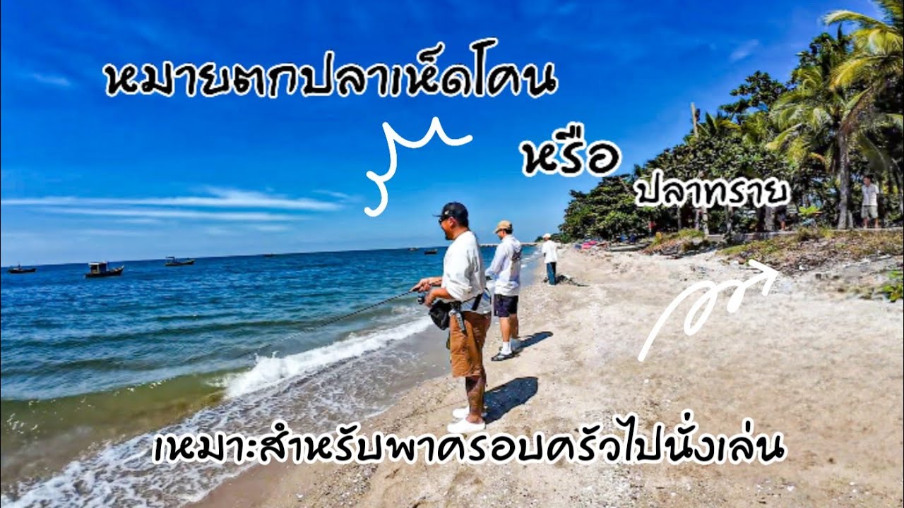 หมายตกปลาเห็ดโคนหรือปลาทราย #ตกปลาเห็ดโคน #เพรียงยาง #เพรียงปลอม