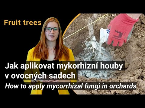 Video: Jak vyrobit mykorhizní houby?