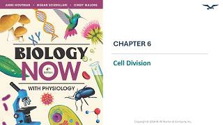 BIO 140 Chapter 6